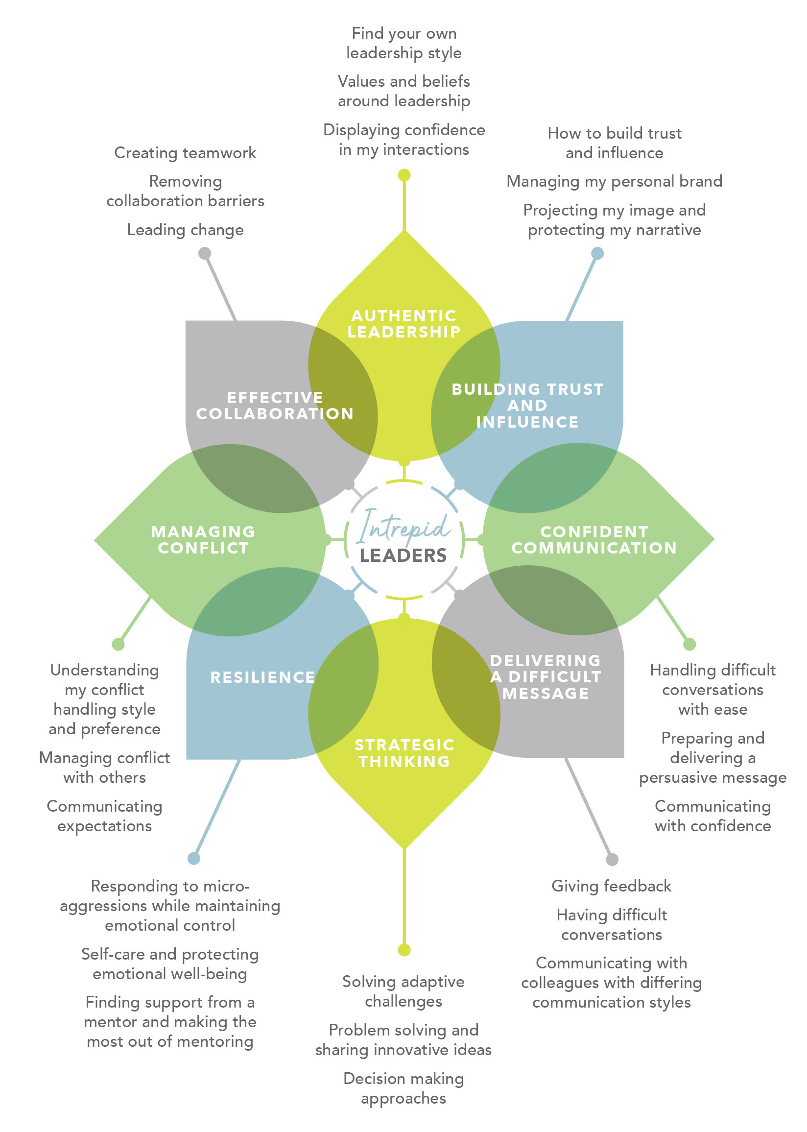 Diagram of Intrepid Leaders program key components.